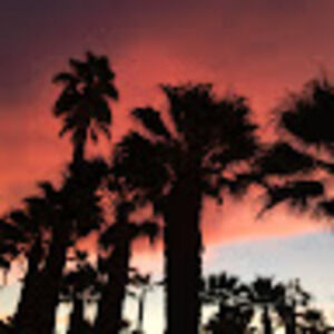 Meet your Posher, Karissa